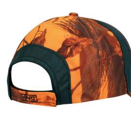 CAPPELLINO HART SOSBUN-C