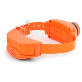 COLLANA SPORTDOG CON BEEPER SPORTRAINER SD-1875-E