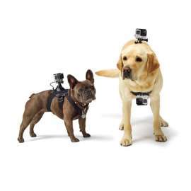 GOPRO FETCH IMBRACATURA PER CANI