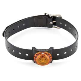 LUCI DI POSIZIONE SPORTDOG BEACON